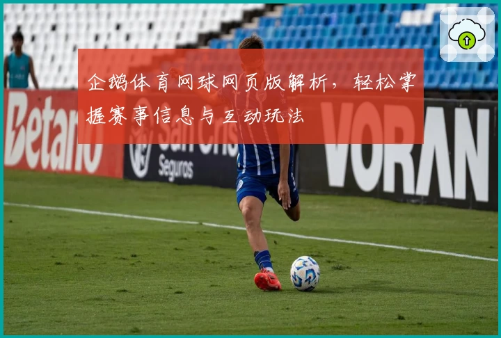 企鹅体育网球网页版解析，轻松掌握赛事信息与互动玩法