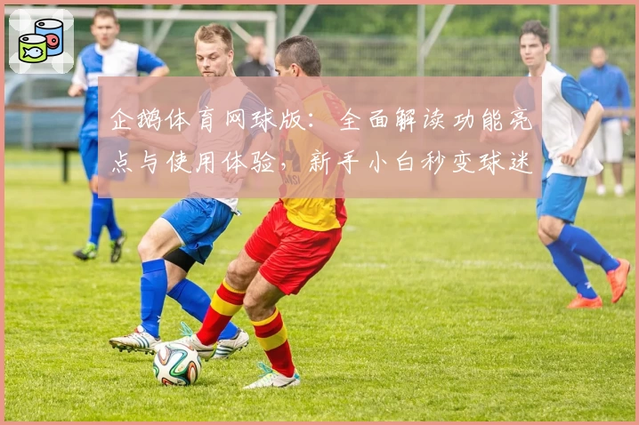 企鹅体育网球版：全面解读功能亮点与使用体验，新手小白秒变球迷达人