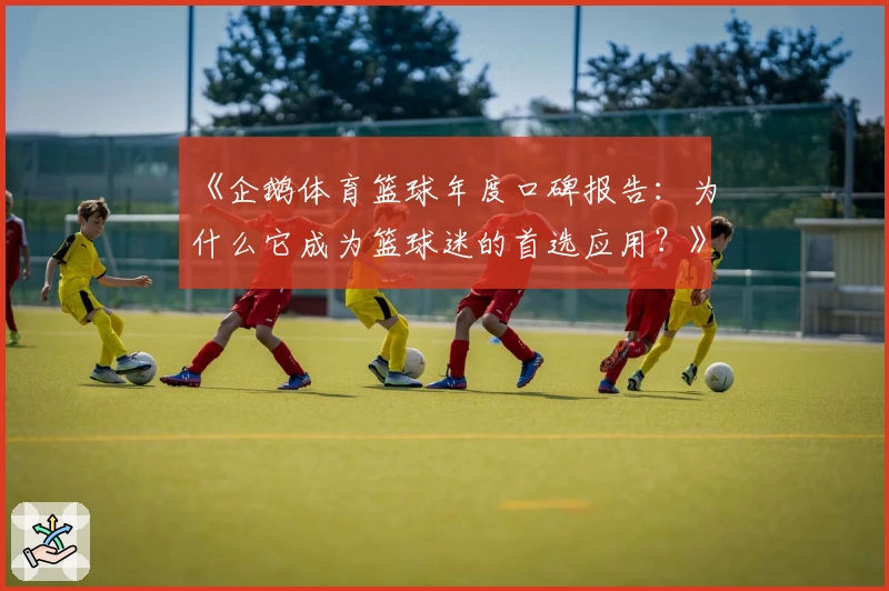 《企鹅体育篮球年度口碑报告：为什么它成为篮球迷的首选应用？》