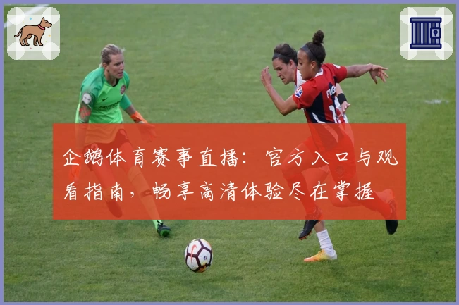 企鹅体育赛事直播：官方入口与观看指南，畅享高清体验尽在掌握