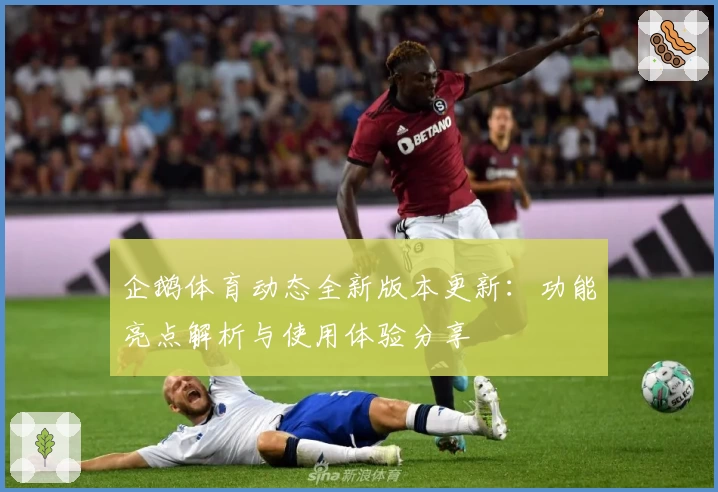 企鹅体育动态全新版本更新：功能亮点解析与使用体验分享