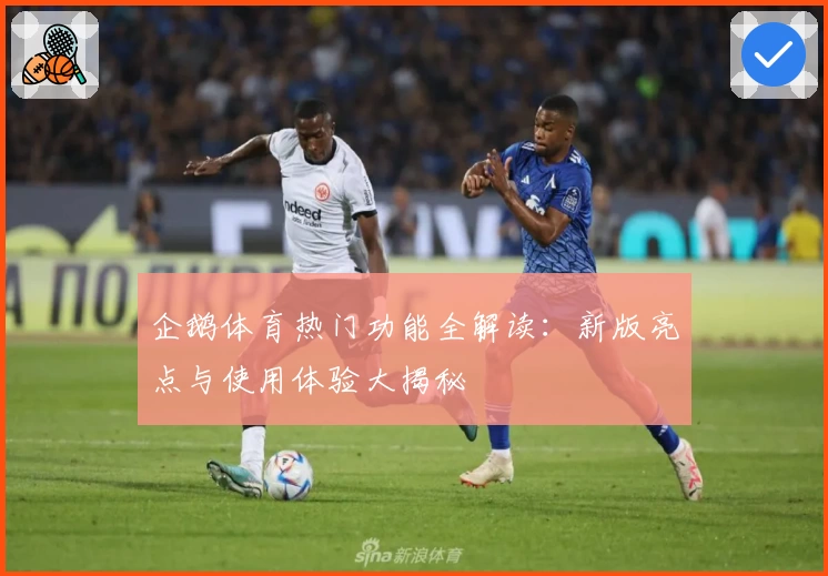 企鹅体育热门功能全解读：新版亮点与使用体验大揭秘