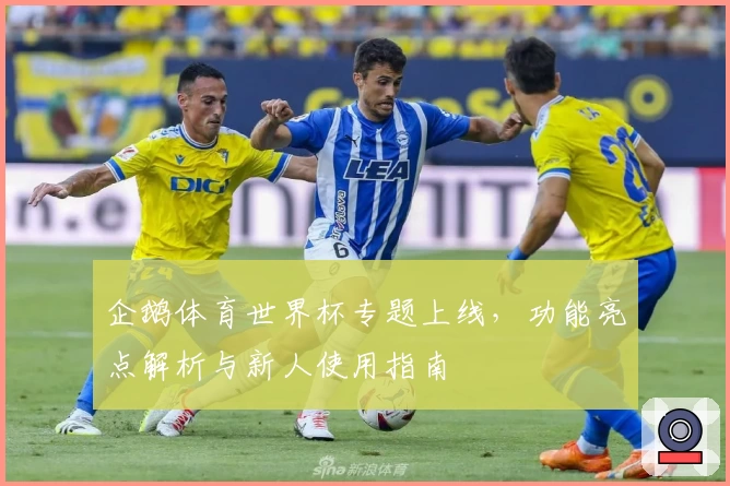 企鹅体育世界杯专题上线，功能亮点解析与新人使用指南