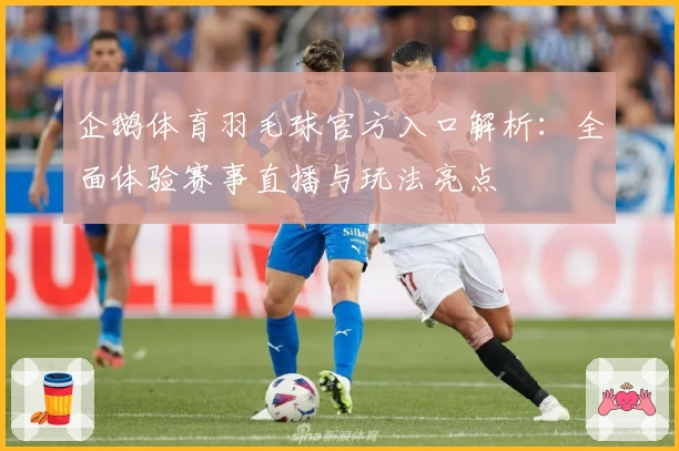 企鹅体育羽毛球官方入口解析：全面体验赛事直播与玩法亮点