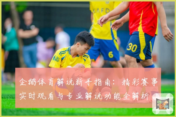 企鹅体育解说新手指南：精彩赛事实时观看与专业解说功能全解析